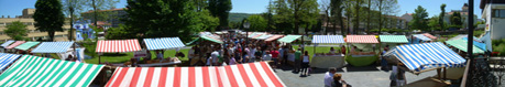 Panorámica de los puestos de venta en un Mercado de Grado