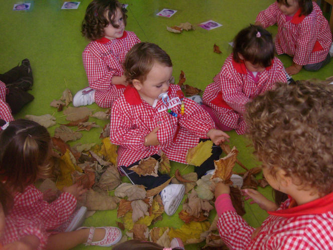 Niños jugando con hojas de árboles.