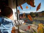 Niño señalando hojas secas pegadas en una ventana
