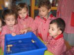 Niños observando como flotan objetos en el tanque de agua