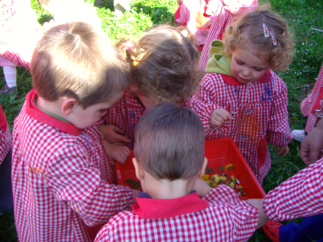 Grupo de niños cogiendo flores del campo de un cubo.