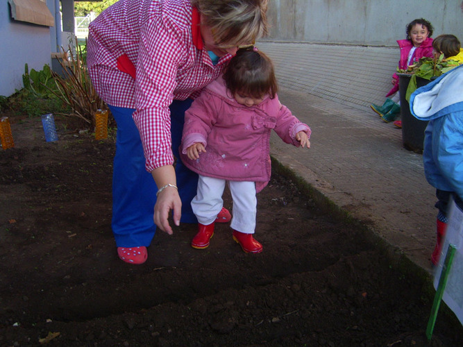 Niña pequeña junto a su profesora, plantando semillas en un huerto.