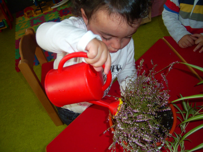 Niña pequeña regando una planta.