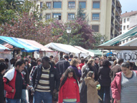 Primera Flor y III Certamen de la Faba Asturiana