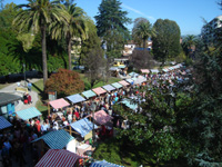 Mercadón de Otoño