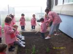 Varios niños y una educadora en el huerto del colegio