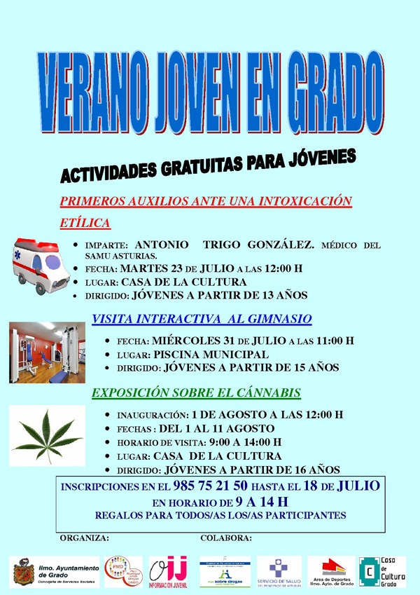 Cartel Verano Joven 2013