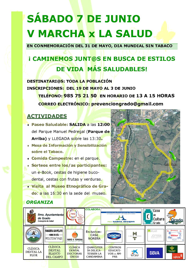 Cartel V Marcha por la Salud