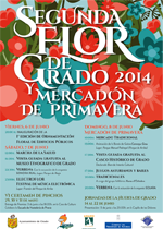 Cartel 2 Flor de Grado 2014