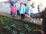 Niños observando el crecimiento de las verduras del huerto
