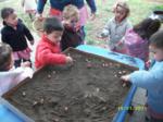 Niños plantando semillas en un gran terrario