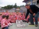Un adulto enseñando unas palomas a los niños