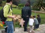 Niños y padres viendo unos corderos en un prado