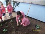 Educadora plantando en el huerto con la ayuda de un niño