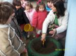 Una educadora plantando un acebo ante la mirada de los niños